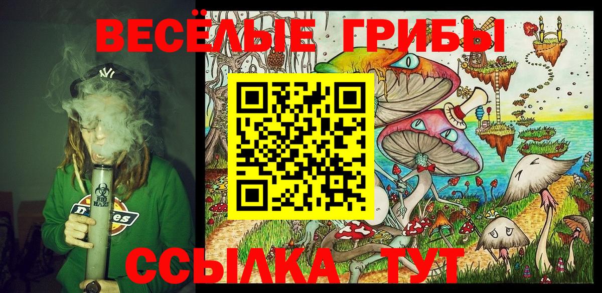 Галлюциногенные грибы Psilocybe Солнечногорск